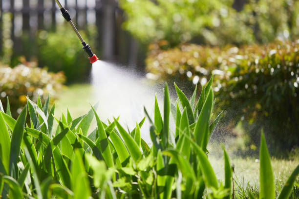 Tamper-Resistant Bait Stations for Rodents in Nekoosa