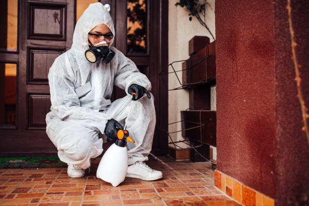 Attic and Crawl Space Rodent Treatment in Nekoosa