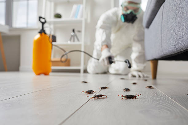 Commercial Rodent Management in Nekoosa